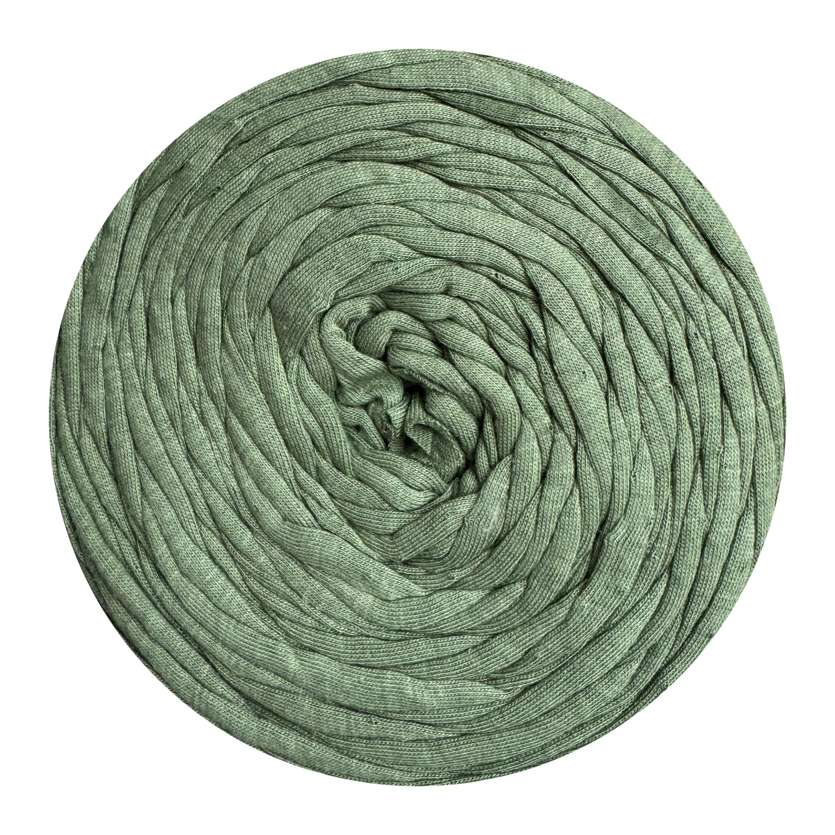 Eucalyptus - Thread Shop T-Shirt Yarn