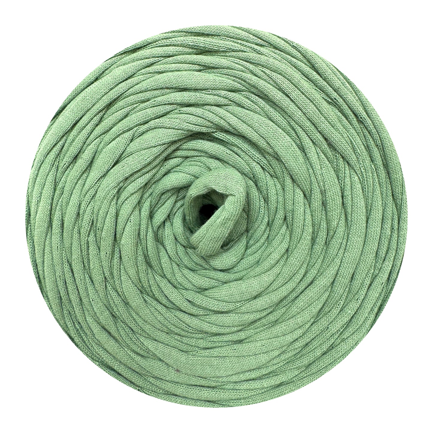 Leaf Green - Hooked Zpagetti T-Shirt Yarn