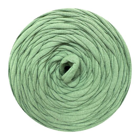Leaf Green - Hooked Zpagetti T-Shirt Yarn