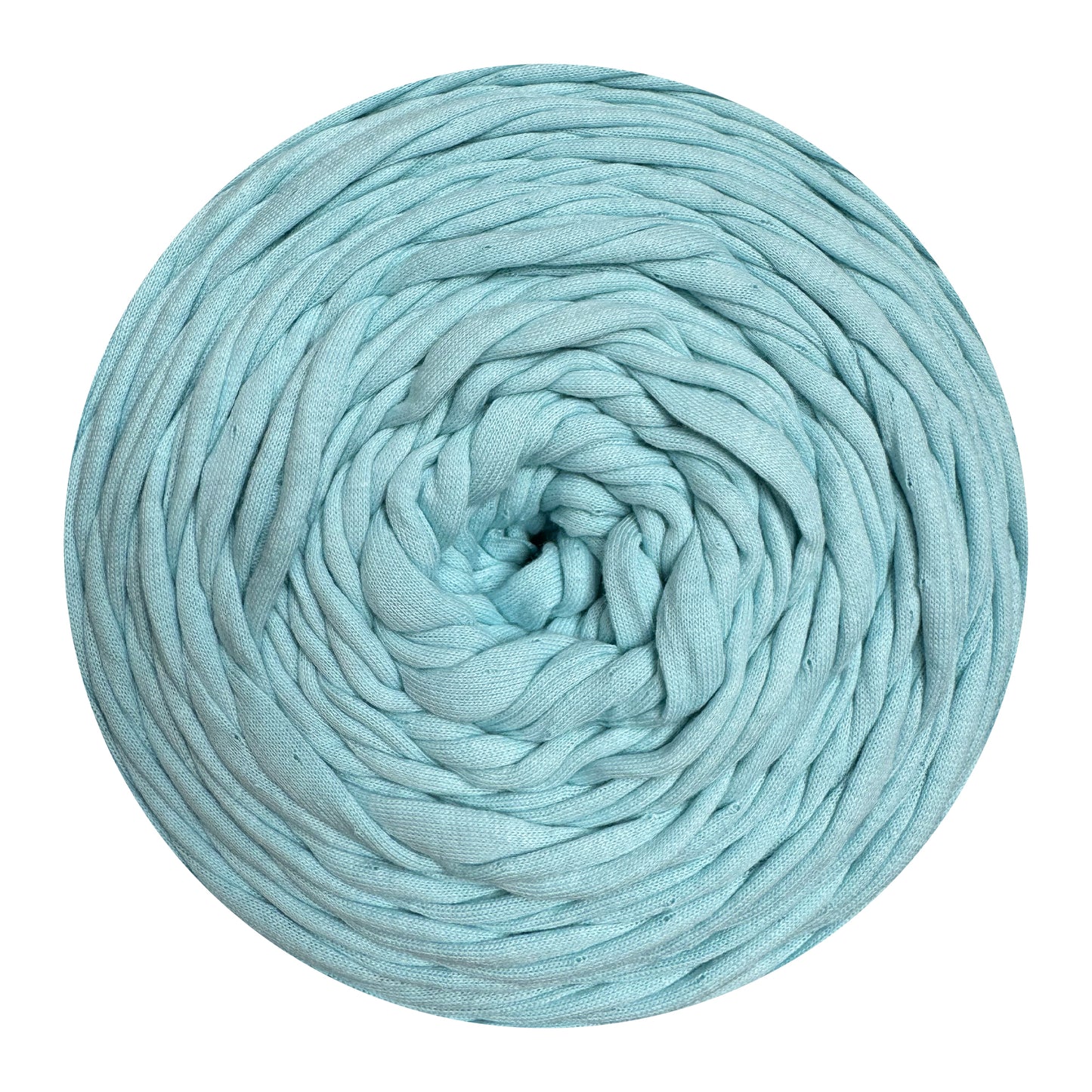 Light Mint - Hooked Zpagetti T-Shirt Yarn