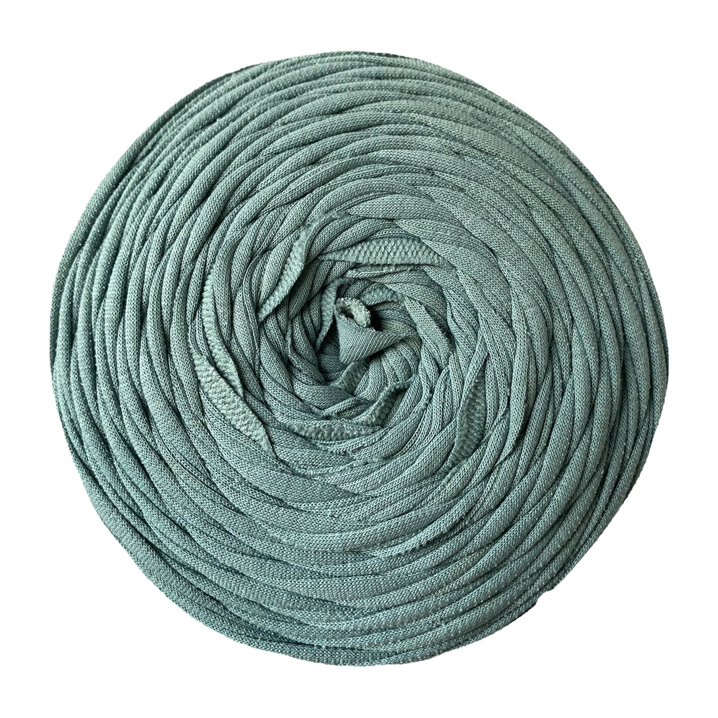 Duck Egg - Thread Shop T-Shirt Yarn