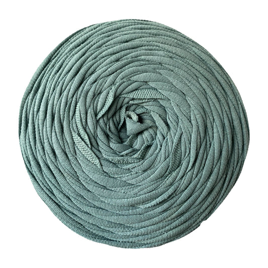Duck Egg - Thread Shop T-Shirt Yarn